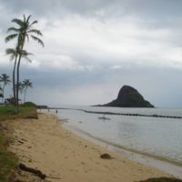 Cleanup of Kualoa Beach and Park